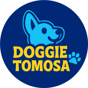 tomosa.xyz